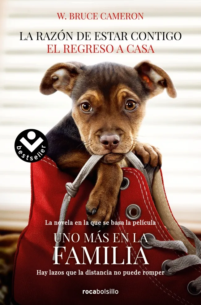 RAZON DE ESTAR CONTIGO, LA -EL REGRESO A CASA-