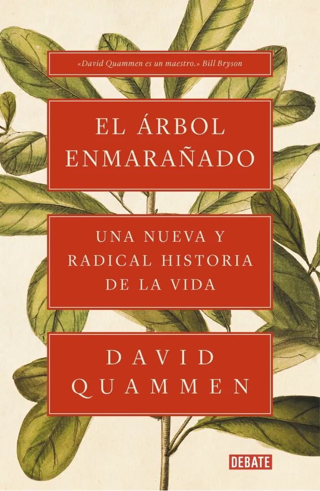 ARBOL ENMARAÑADO,EL