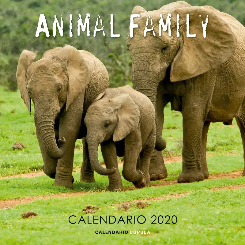 CALENDARI 2020 ELEFANTES