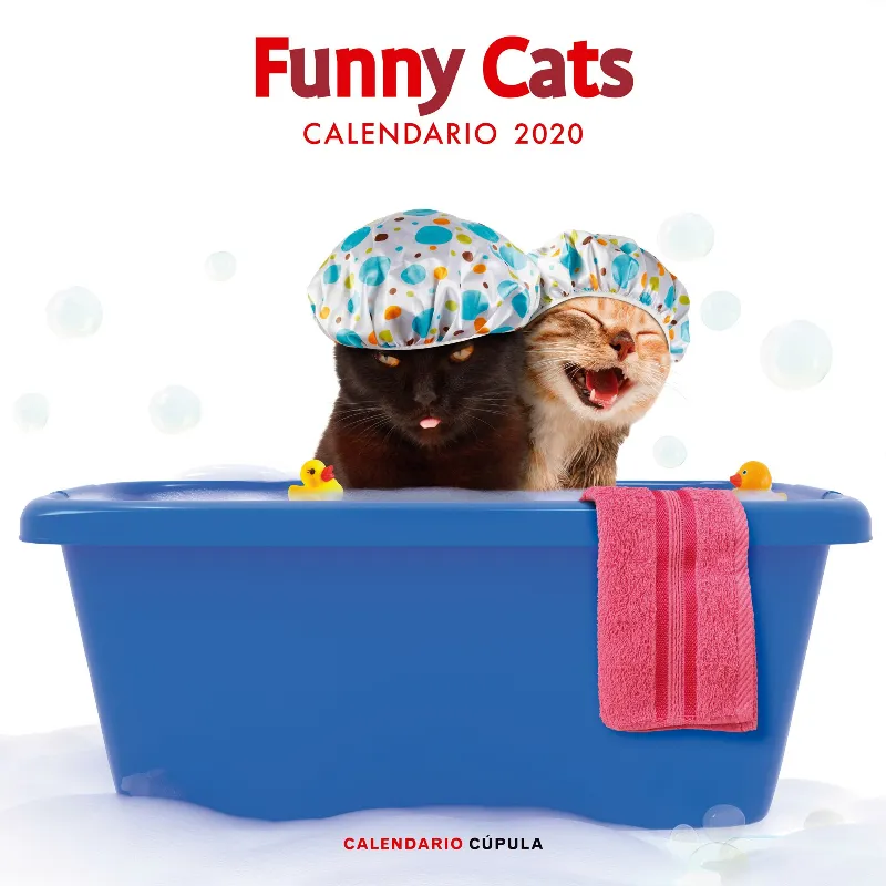 CALENDARI 2020 FUNNY CATS