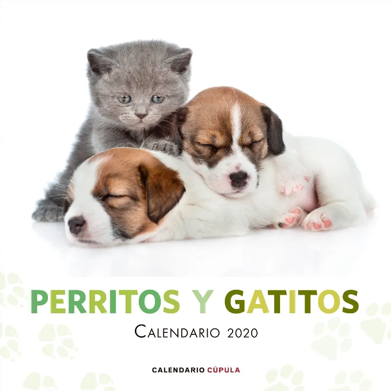 CALENDARI 2020 PERRITOS Y GATITOS