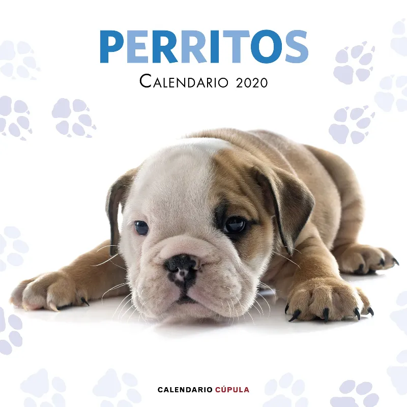 CALENDARI 2020 PERRITOS