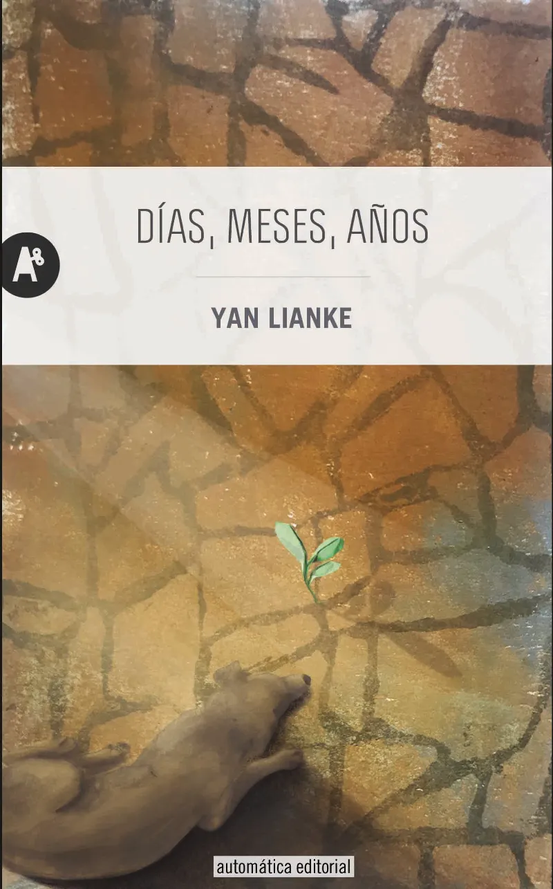 DIAS MESES AÑOS