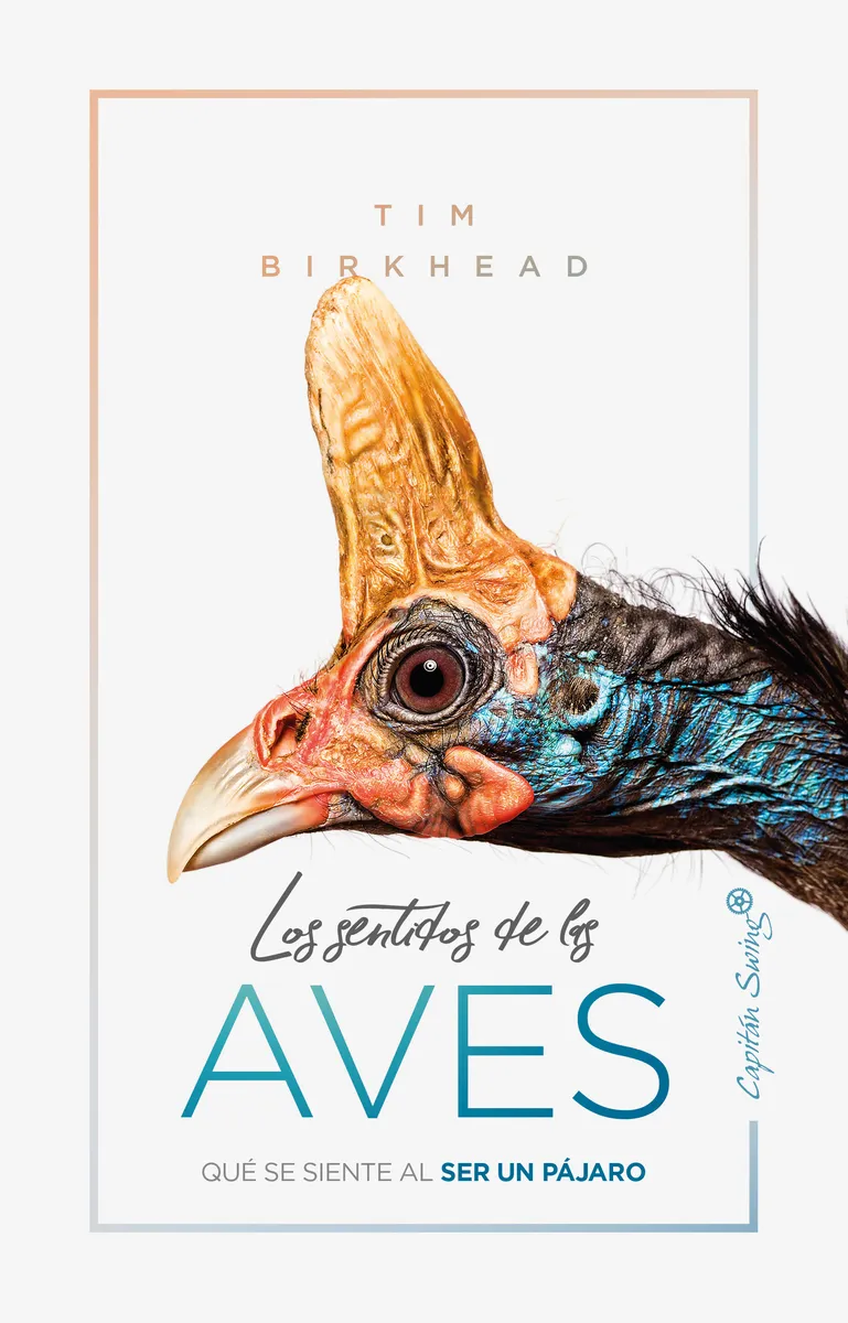 SENTIDOS DE LAS AVES, LOS