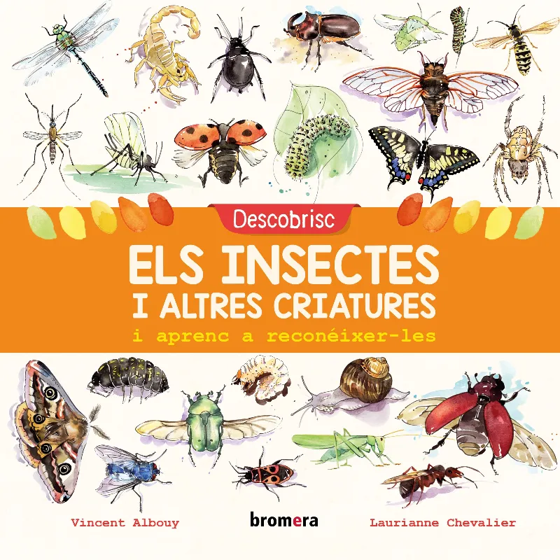 DESCOBRISC ELS INSECTES I ALTRES CRIATURES I APRENC A RECONEIXER-LES