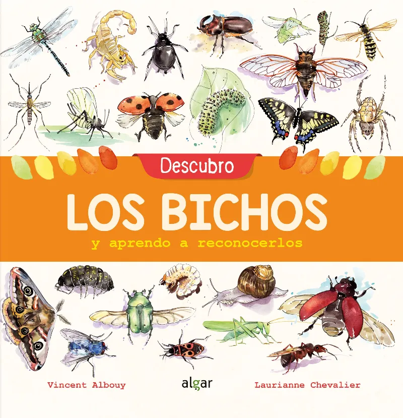 DESCUBRO LOS BICHOS Y APRENDO