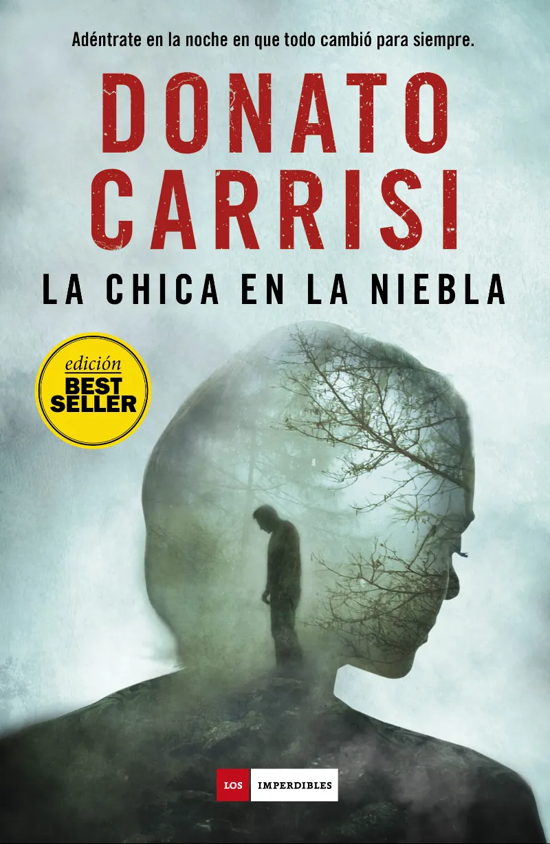 CHICA EN LA NIEBLA, LA