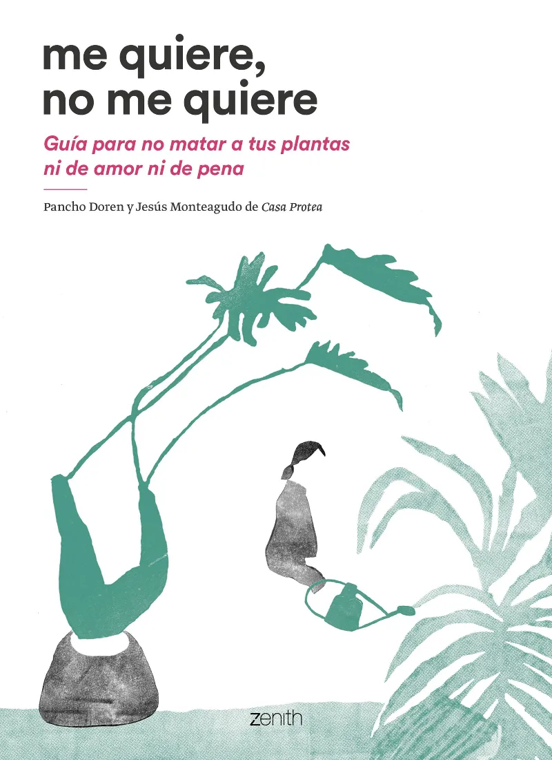 ME QUIERE NO ME QUIERE