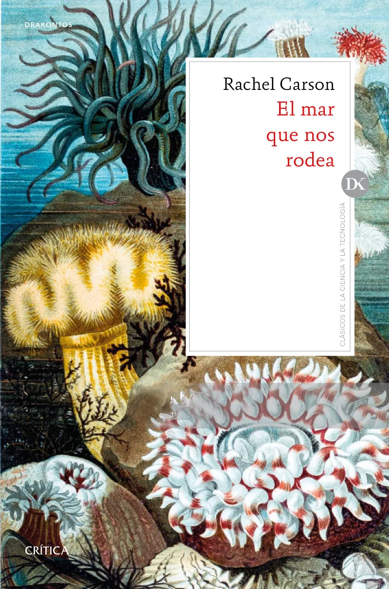 MAR QUE NOS RODEA