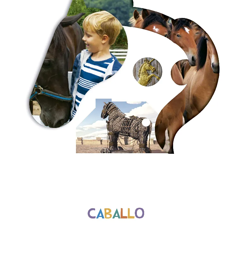 EL CABALLO 4 AÑOS 2019