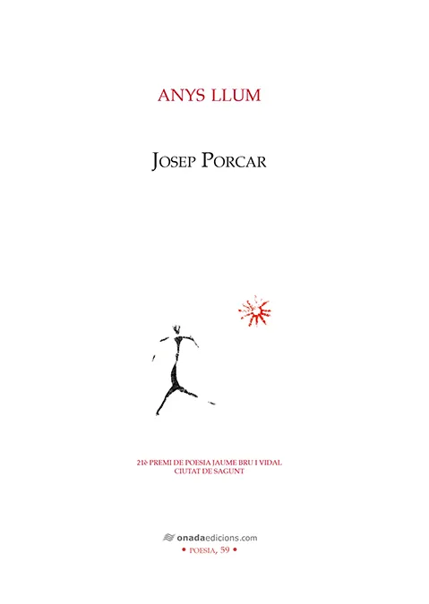 ANYS LLUM