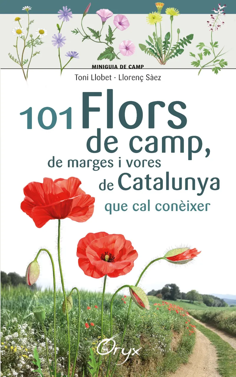 101 FLORS DE CAMP, DE MARGE I VORES DE CATALUNYA QUE CAL CONEIXER