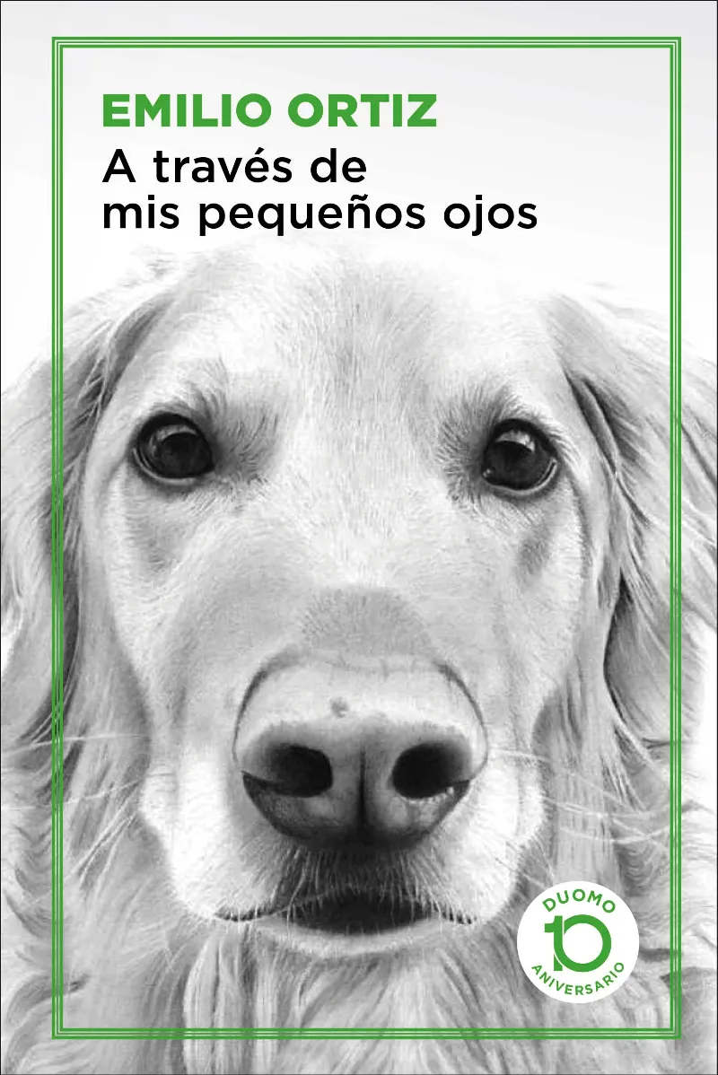A TRAVES DE MIS PEQUEÑOS OJOS