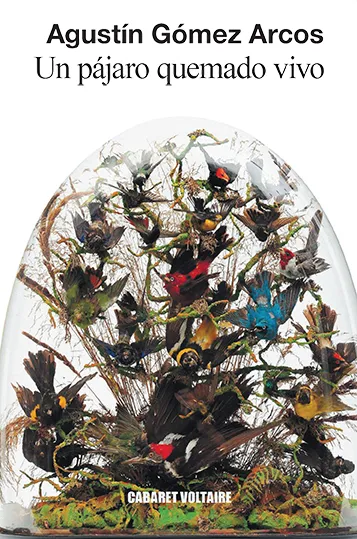 PAJARO QUEMADO VIVO, UN