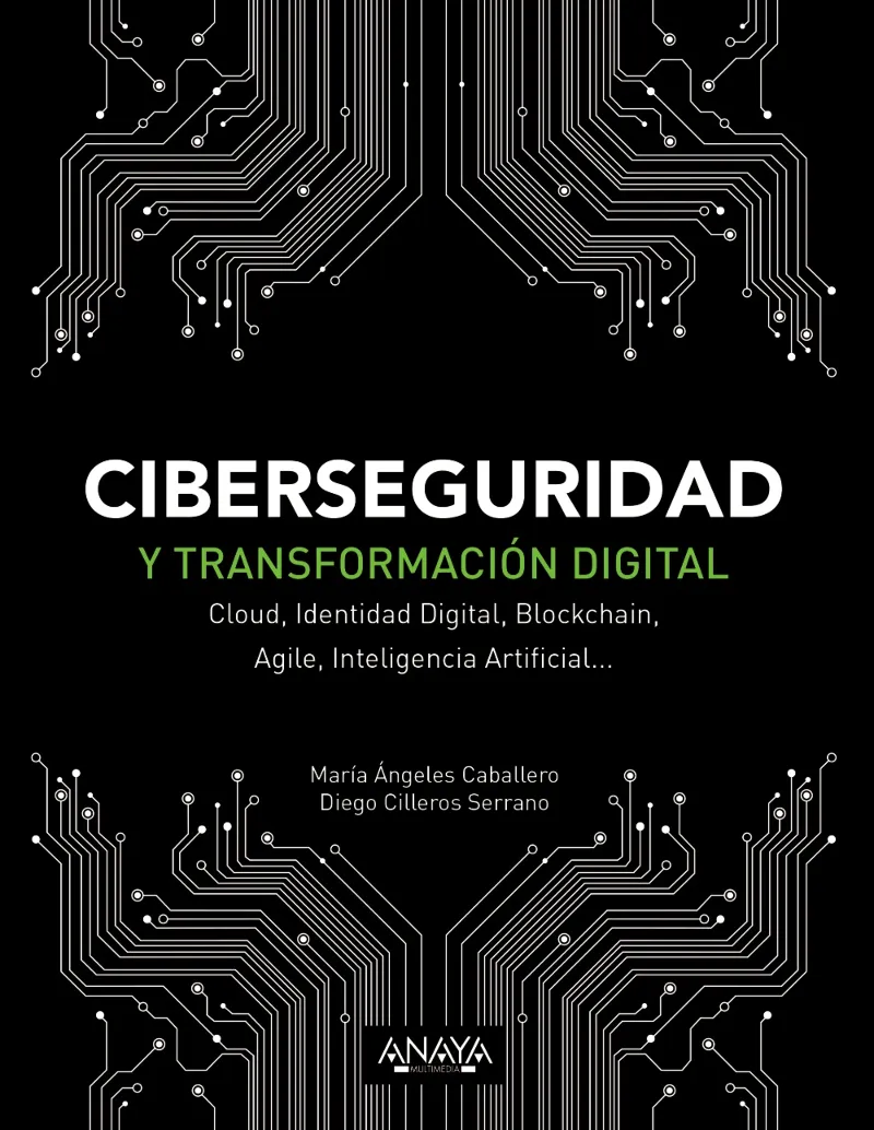 CIBERSEGURIDAD Y TRASNFORMACION DIGITAL