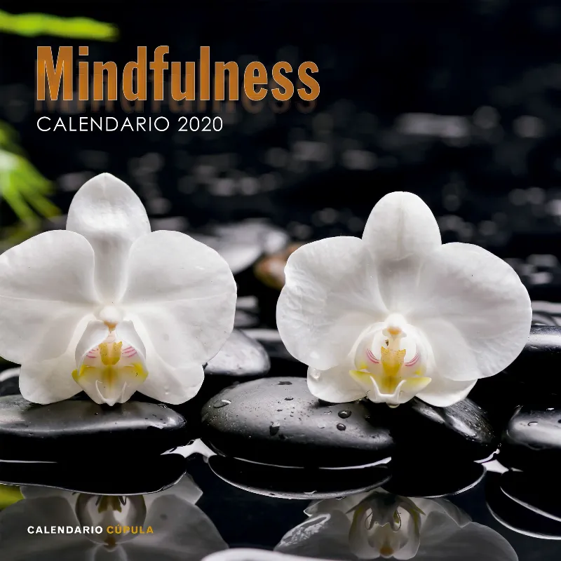 CALENDARI 2020 MINDFULNESS