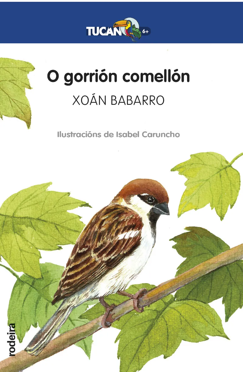 O GORRION COMELLON (GAL)