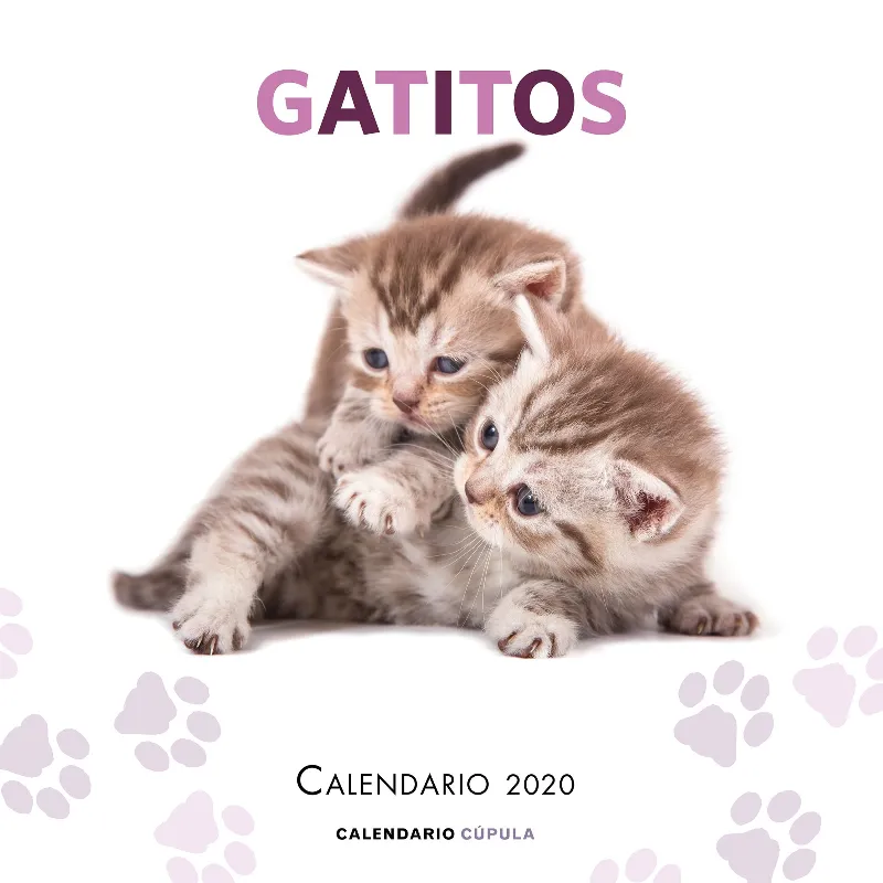 CALENDARI 2020 GATITOS