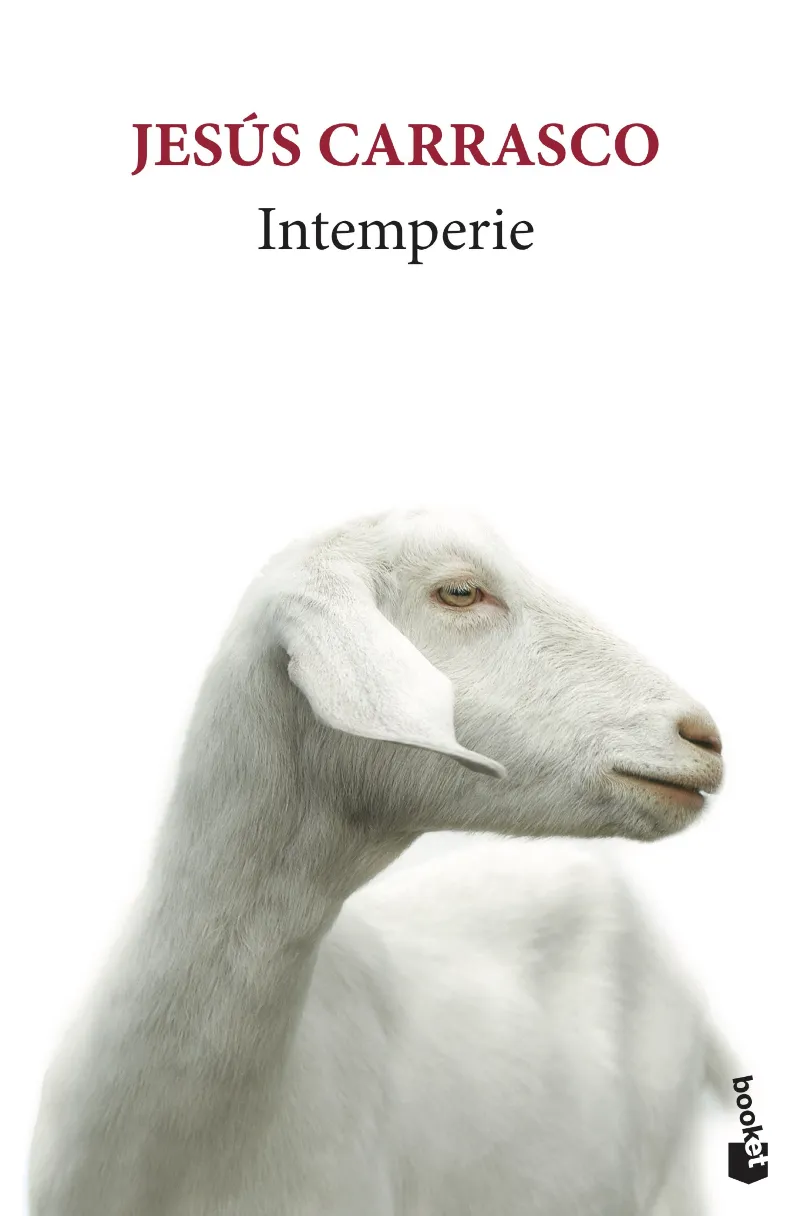INTEMPERIE -BUTXACA