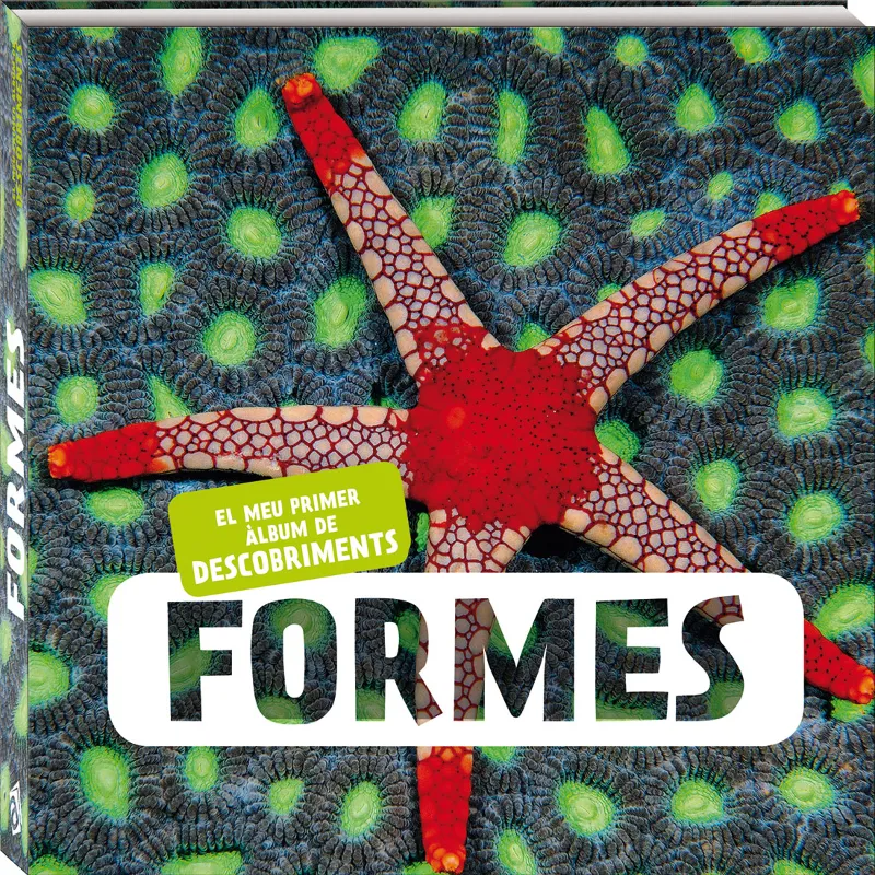 FORMES.EL MEU PRIMER ALBUM DE DESCOBRIMENTS