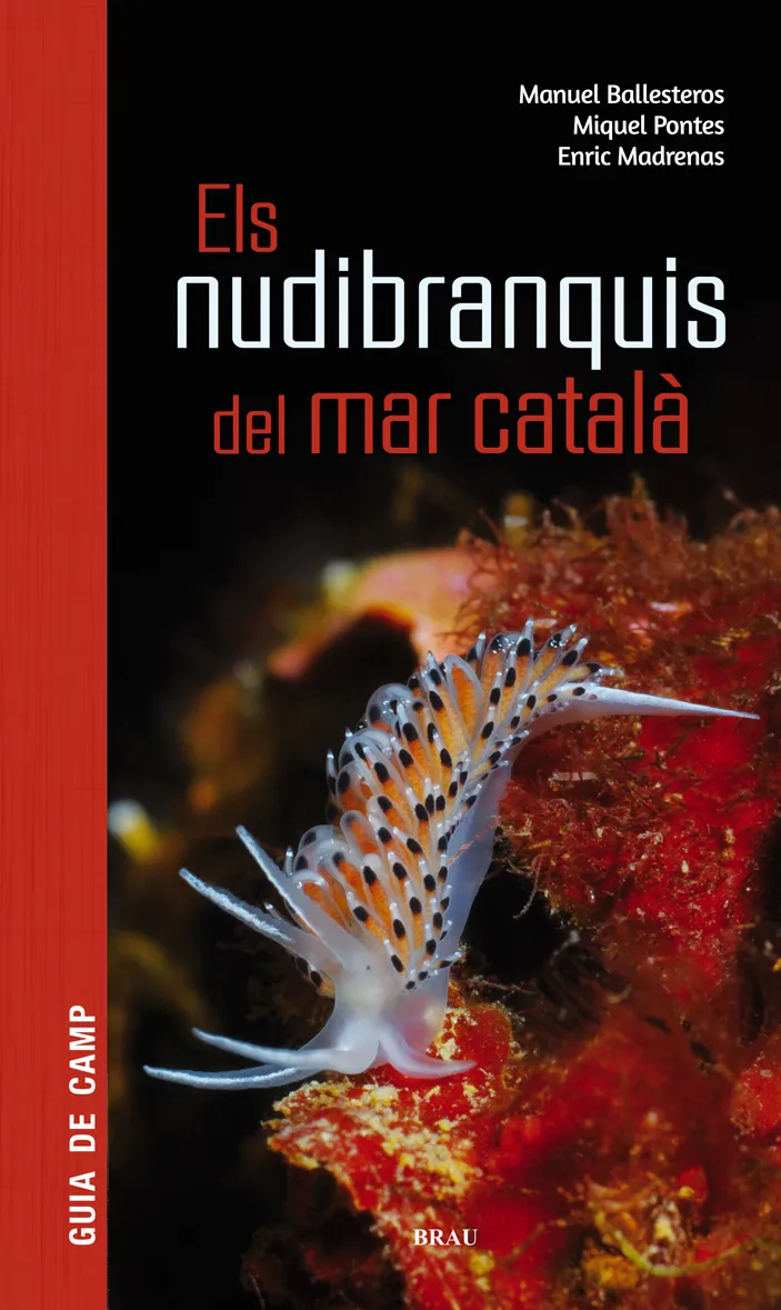 NUDIBRANQUIS DEL MAR CATALA, ELS