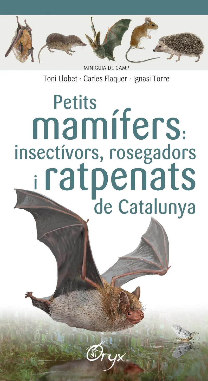 PETITS MAMIFERS INSECTIVORS ROSEGADORS I RATPENATS DE CATALUNYA