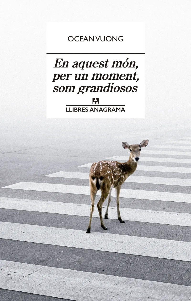 EN AQUEST MON PER UN MOMENT SOM GRANDIOSOS