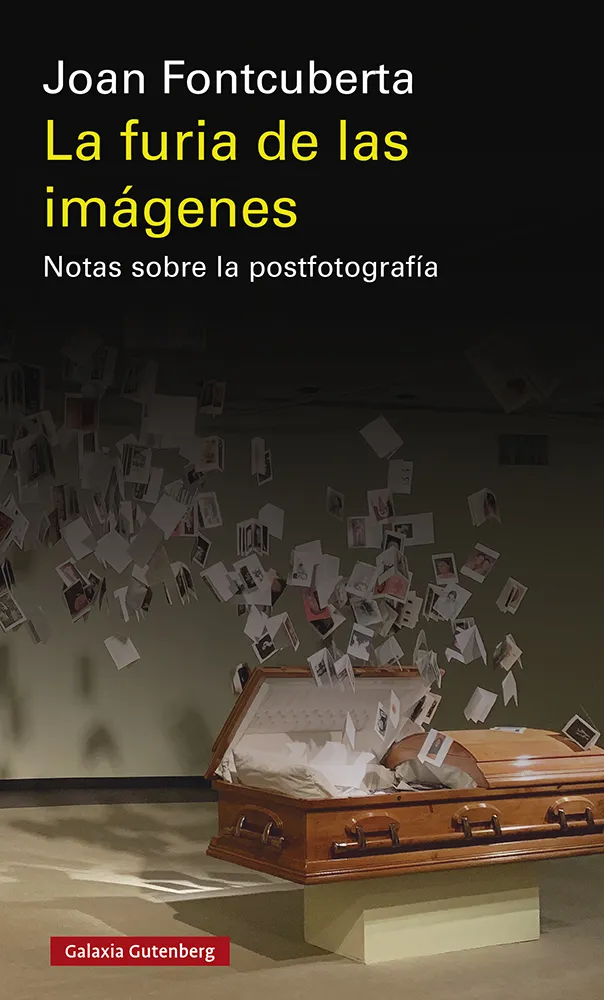 FURIA DE LAS IMAGENES, LA