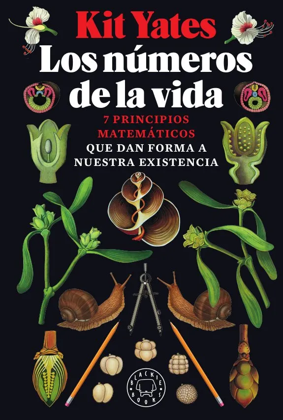 NUMEROS DE LA VIDA,LOS -7 PRINCIPIOS MATEMATICOS QUE DAN