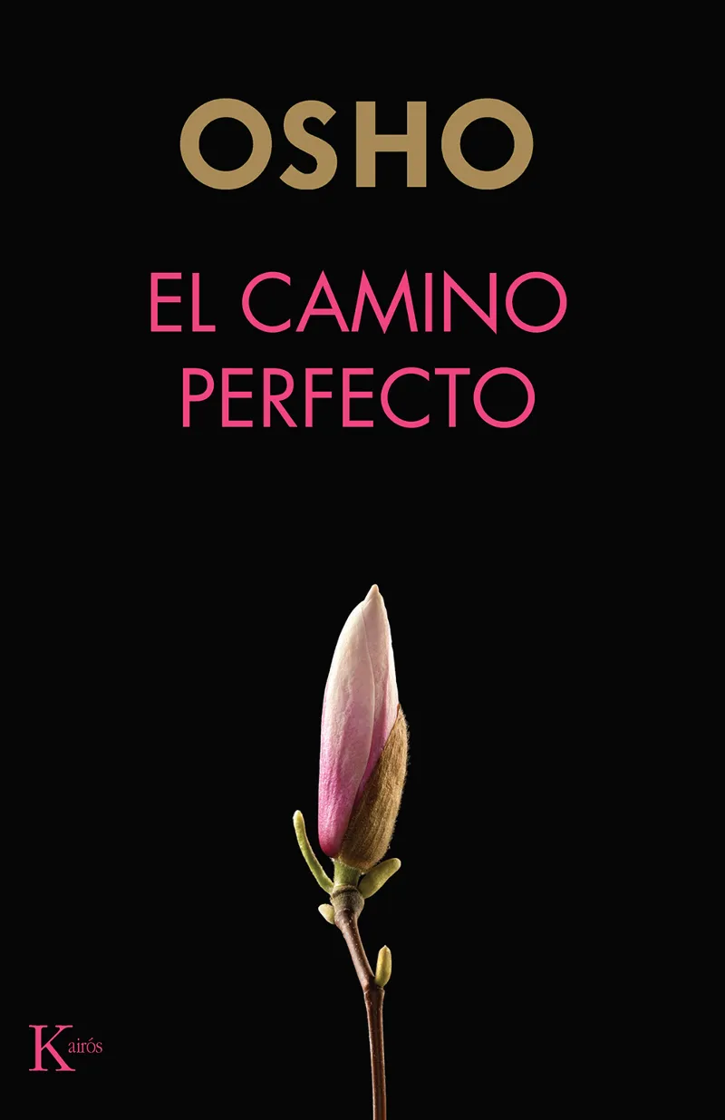 CAMINO PERFECTO,EL