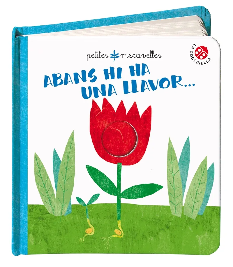 ABANS HI HAVIA UNA LLAVOR...