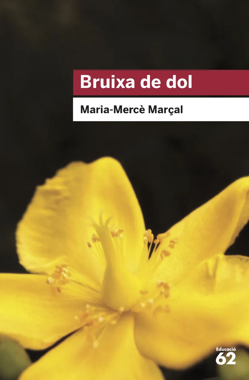 BRUIXA DE DOL