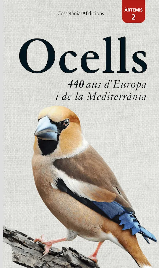 OCELLS 440 AUS D'EUROPA I DE LA MEDITERRANIA