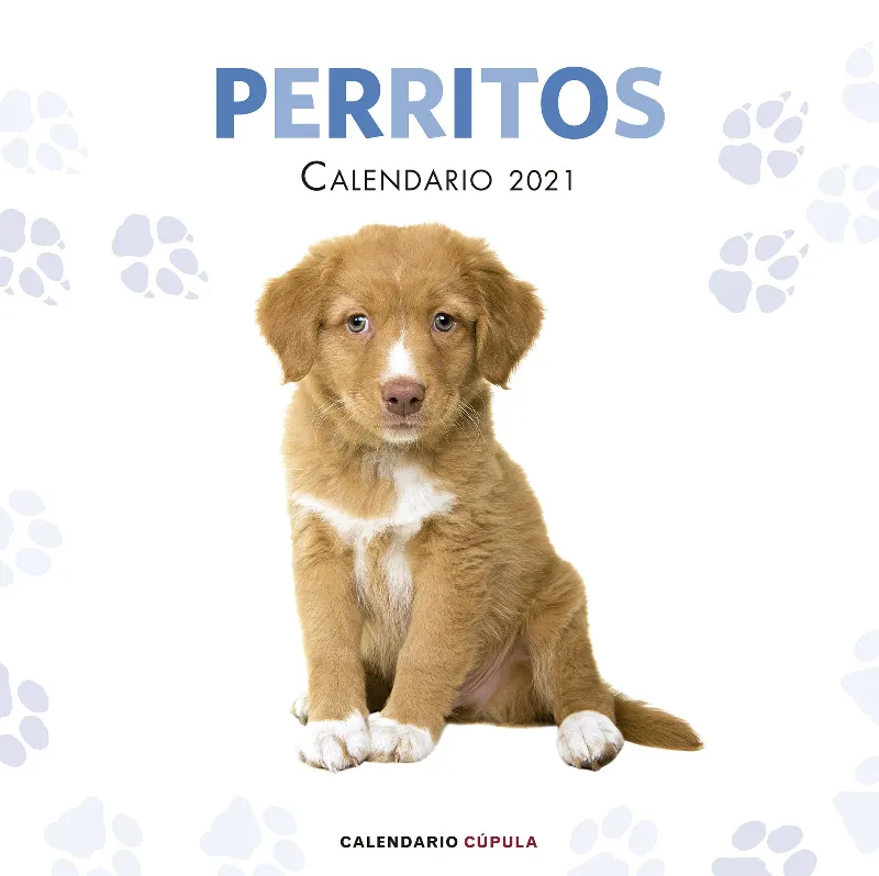 CALENDARIO 2021 PERRITOS