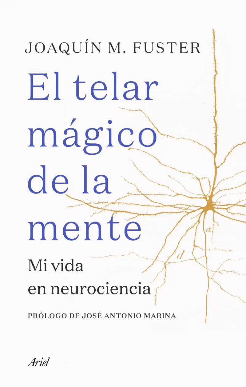 TELAR MAGICO DE LA MENTE, EL