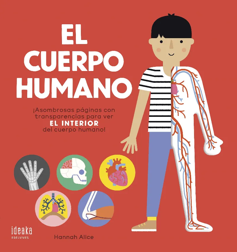 EL CUERPO HUMANO CARTÓN CON ACETATO -A PARTIR DE 5 AÑOS