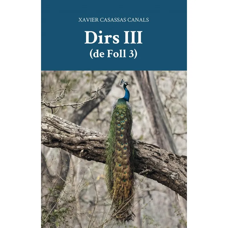 DIRS III DE FOLL 3