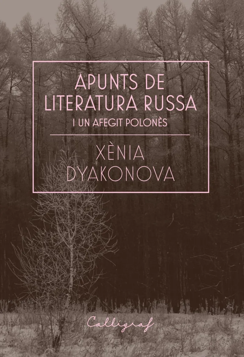 APUNTS DE LITERATURA RUSSA I UN AFEGIT POLONES
