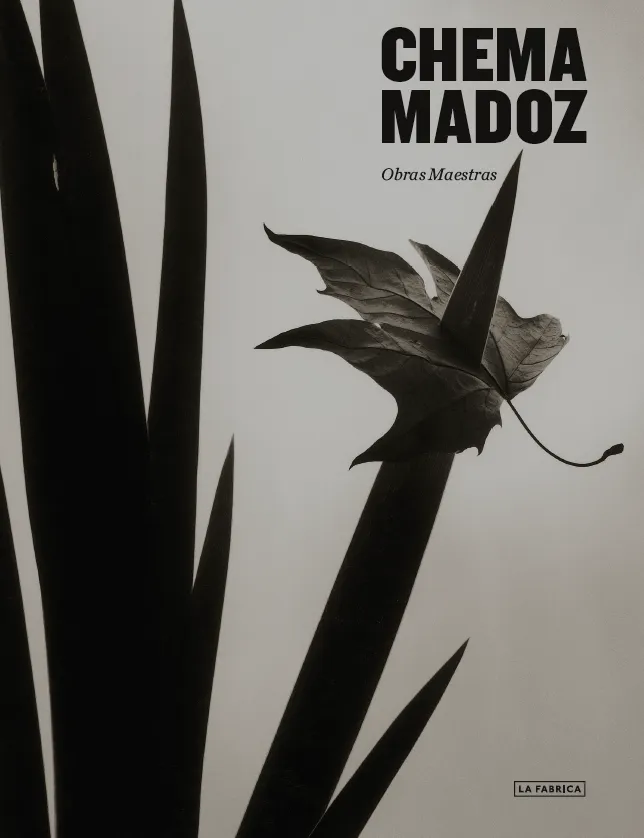 CHEMA MADOZ OBRAS MAESTRAS