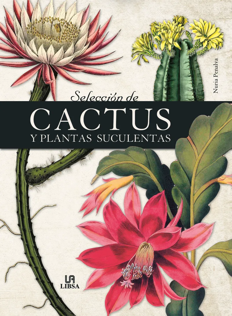 SELECCION DE CACTUS Y PLANTAS SUCULENTAS