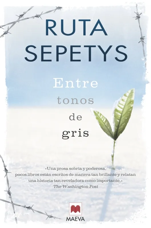 ENTRE TONOS DE GRIS