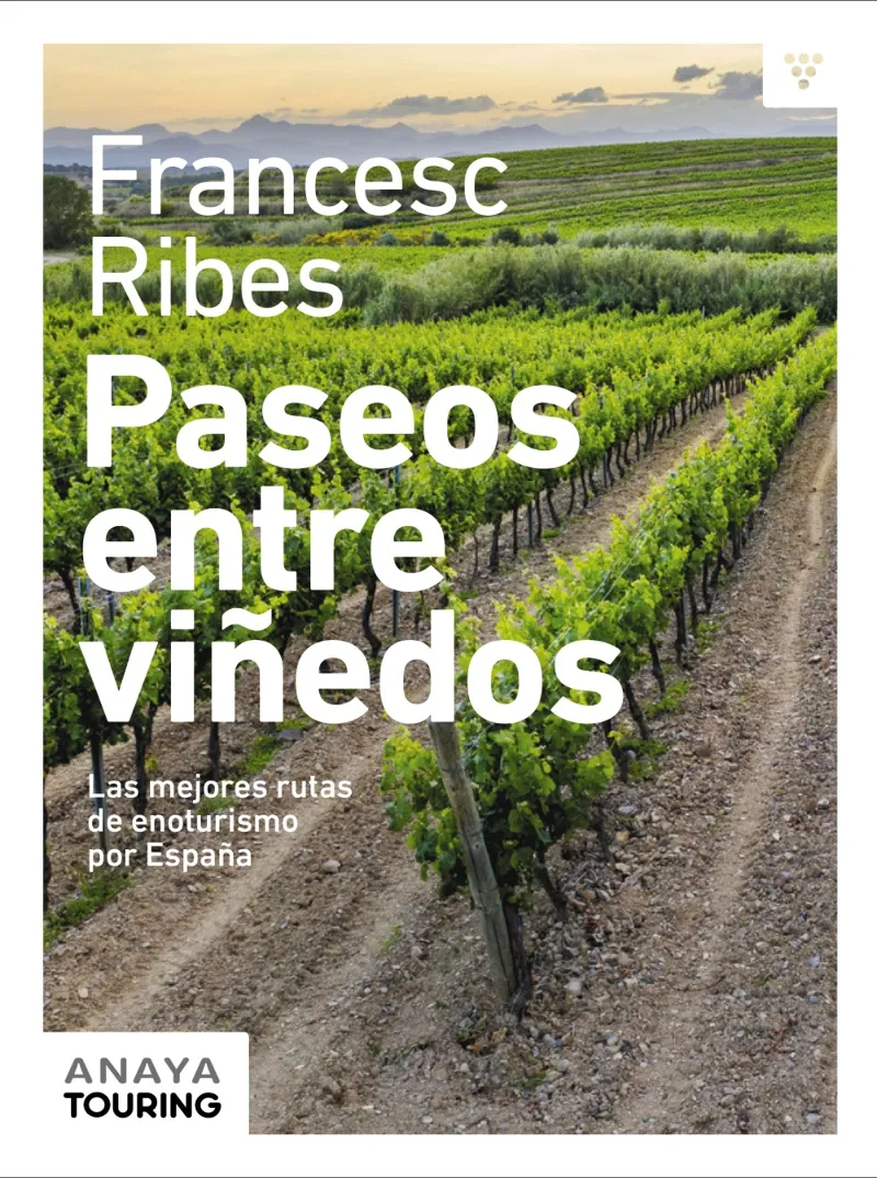 PASESO ENTRE VIÑEDOS