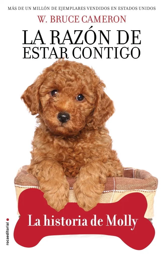 RAZON DE ESTAR CONTIGO, LA -LA HISTORIA DE MOLLY- TAPA DURA