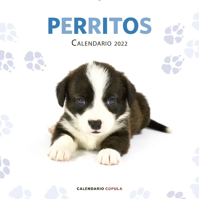 CALENDARI 2022: PERRITOS