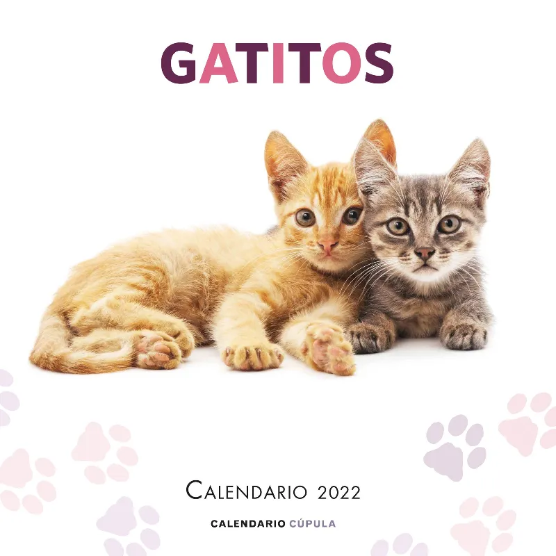 CALENDARI 2022: GATITOS