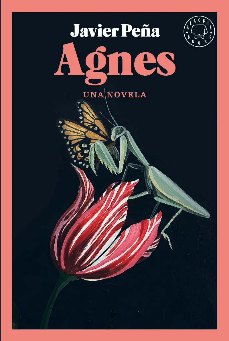 AGNES - UNA NOVELA -