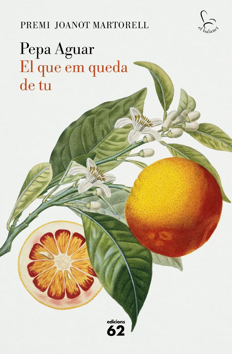 QUE EM QUEDA DE TU, EL