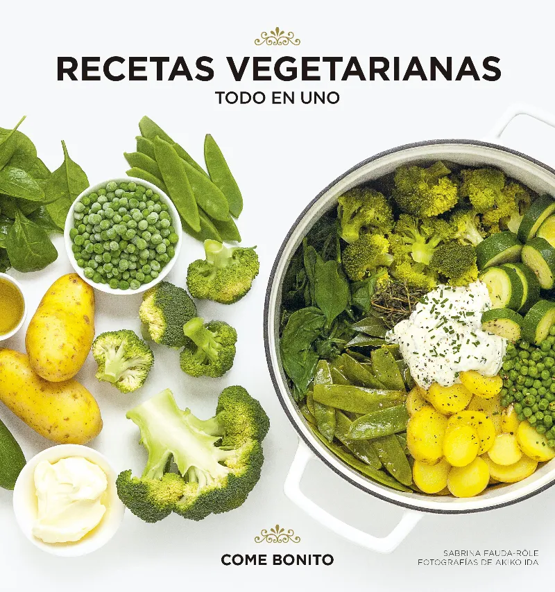 RECETAS VEGETARIANAS TODO EN UNO