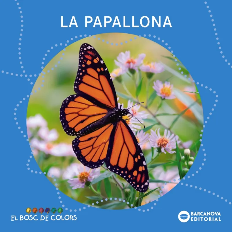 LA PAPALLONA(LLETRA PAL/ LLETRA LLIGADA)