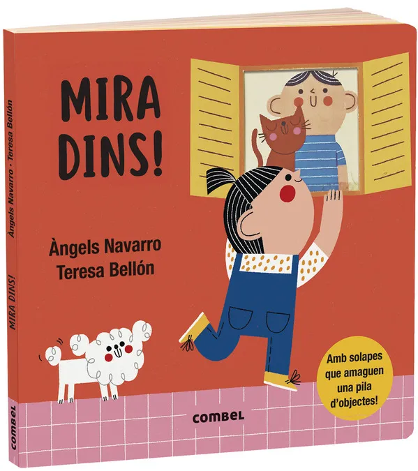 MIRA DINS -AMB SOLAPES -